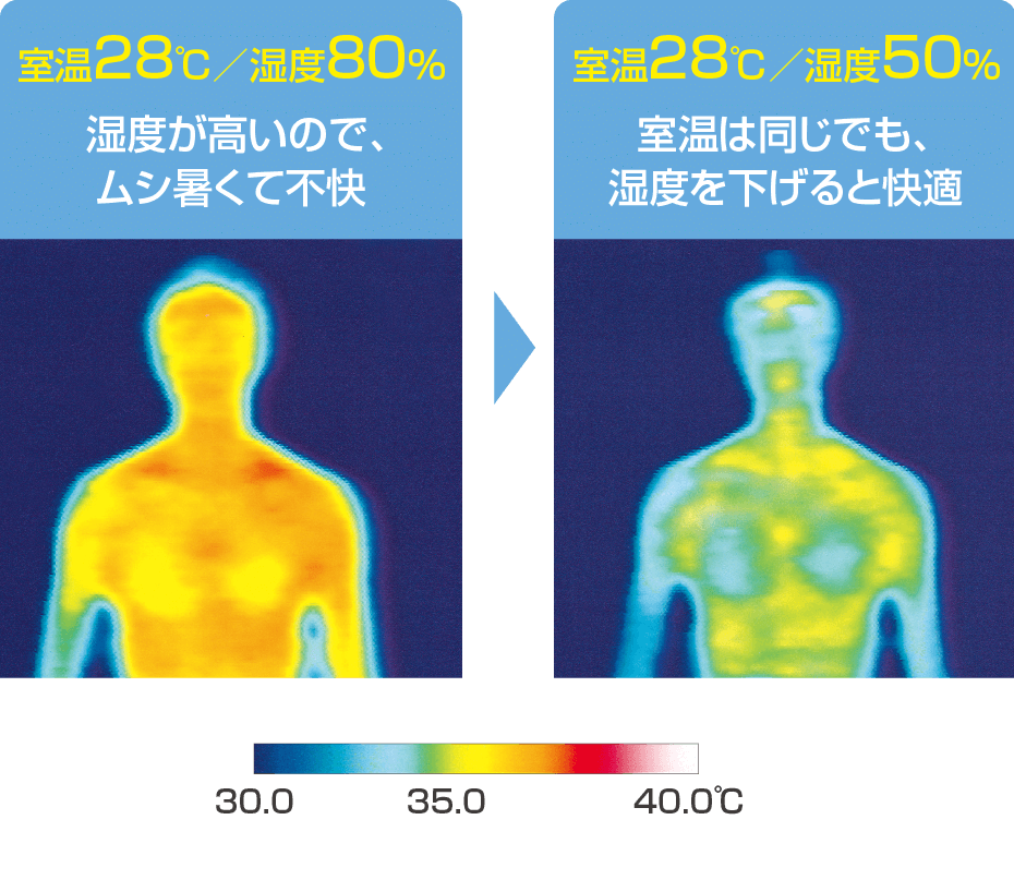 サーモグラフィーの比較画像